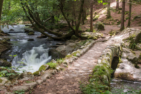 Stone bridge near waterfall Saut des Cuves in vosges mountain in France