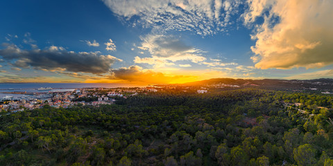 palma de mallorca