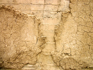 texture earth dirt