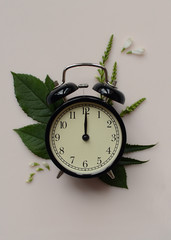 a black desk clock on a pastel pink background with a green leafs at midnight or noon. Metaphor to be on time.