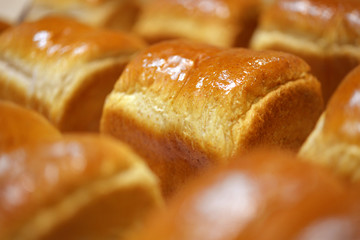 제과 제빵 베이커리 요리 음식 백그라운드 사진 이미지