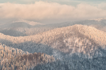 Fototapeta na wymiar Forested mountain peaks covered with snow at sunrise. Bieszczady Mountains. Poland