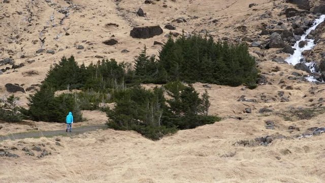 Man walking alone hike Iceland waterfall advanture trek