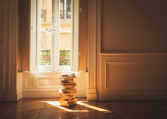 Pile of books in front of a window in a sunlit, French apartment.