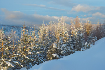 Forested mountain peaks covered with snow at sunrise. Bieszczady Mountains. Poland
