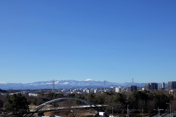 多摩の風景