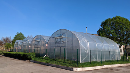 Polythene tunnel as a plastic greenhouse in an allotment with growing vegetables