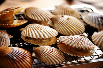 Scallops on grille 