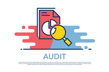 AUDIT ICON CONCEPT