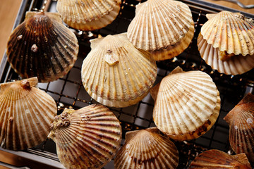 Scallops on grille 