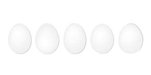 white eggs in a row- vector illustration