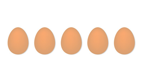eggs in a row- vector illustration