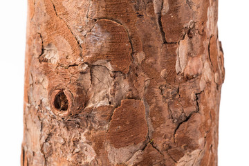 Wooden stump(cut log) isolated. Round cut down tree with annual rings.