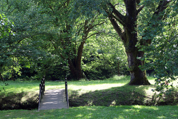 Un paseo en el campo