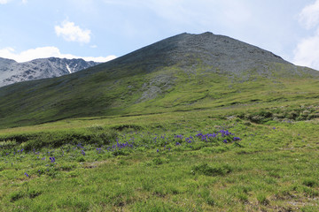 Fototapeta premium View from Kara-Turek Pass, Altai Mountains, Russia