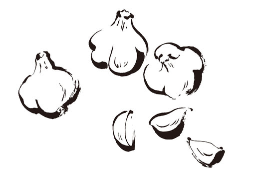 線画1 にんにくのイラスト