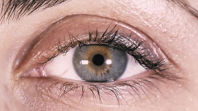 Close-up Of Beautiful Blue Eye is an excellent stock video that exhibits a beautiful blue eye blinking. It is easy to tell that it is a woman's eye. 