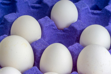 White eggs closeup in egg tray with selective focus and crop fragment