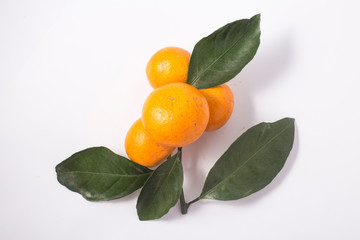 Frash tangerines on stem with green leaves isolated