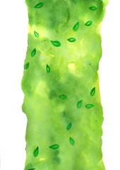 Falling green leaves on abstract green watercolor hand painting on paper background for decoration on advertsing artwork design.