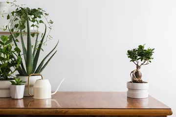 Möbelaufkleber Schreibtisch mit leerem Bilderrahmen-Bonsaibaum, Pflanzen und weißem Wandhintergrund.. © mallmo