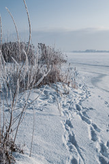 Cold sunny frozen day view by the river in winter 