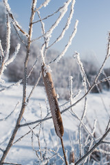 Cold sunny frozen day view by the river in winter 
