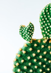Valentines Day -Close up of a green heart shaped bunny ears cactus
