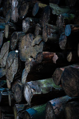 Log Pile