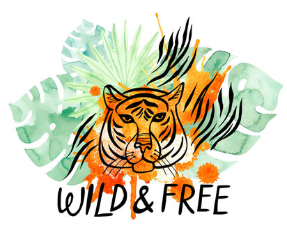 Wild and Free Tiger's Face. Watercolor Illustration.