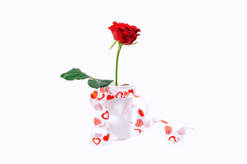 red rose white background gift cup green valentine day woman february heart ribbon