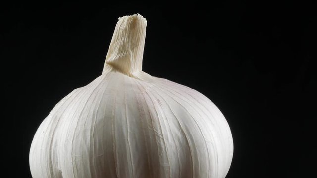 Raw garlic close up