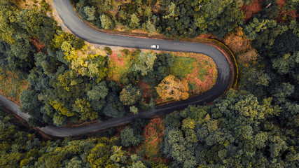 Aerial view of car driving through the forest on country road. 