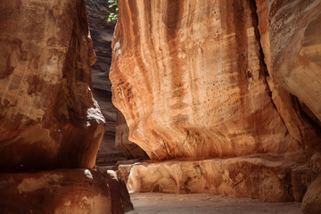 The Siq is the ancient main entrance leading to the UNESCO world heritage site of Petra, Jordan. It starts at the Dam and ends at the opposite side of the vault.