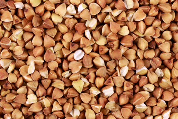 Buckwheat seed