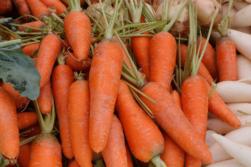 Carrot selling in market
