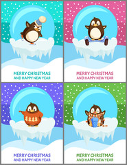Merry Christmas and happy New Year penguin in glass ball vector. Posters with text sample, snowing weather, bird wearing sweater with pine fir print
