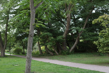 Park life: Lund's botanical garden
