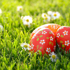 Easter eggs lying on green spring grass along with Bellis flowers. Space for text