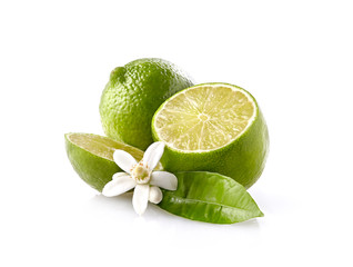 Limes   with blossom on the white background