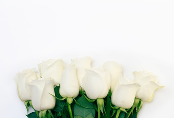 White Rose. A bouquet of delicate roses on a white background. Place for text, close-up. Romantic background for spring holidays.