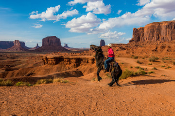 Cowboy Rearing Horse