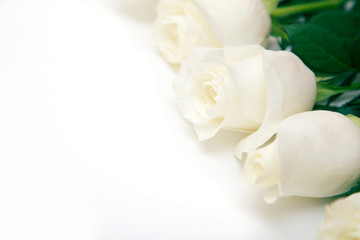 Obraz na płótnie Canvas White Rose. A bouquet of delicate roses on a white background. Place for text, close-up. Romantic background for spring holidays.