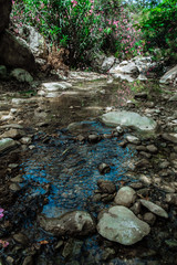 Amazing natural landscape in the Avakas canyon in Cyprus. National sunny wild park with cliffs, mountains, rocks and trees. Deep natural valley to discovery for tourists and travelers