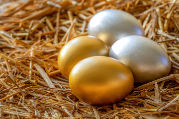 Gold and silver eggs