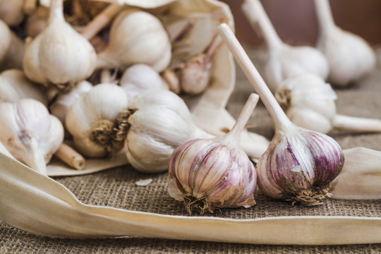 Bulbs of garlic in a cotton bag scattered on a linen mat. Natural organic farm food