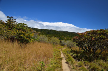 Wanderweg im Nationalpark Rincon de la Vieja
