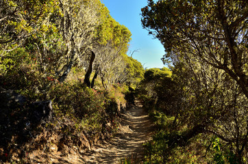 Wanderweg zum Cerro Chirripo