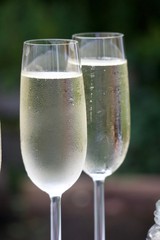 Sektglas