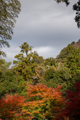 Fototapeta premium 色付き始めた山の裾野